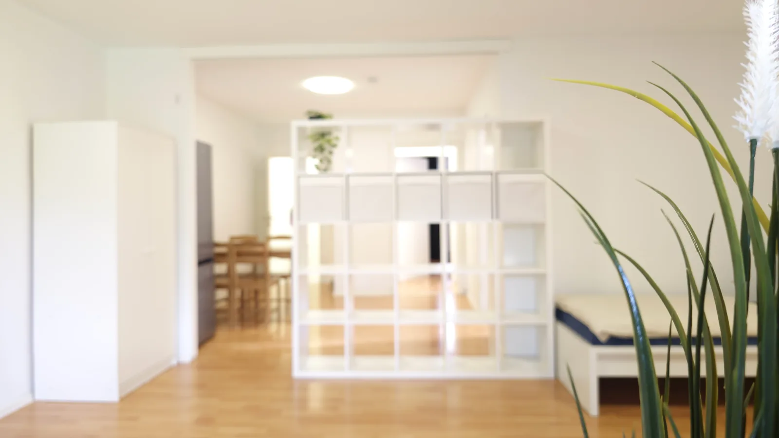 Möblierte Wohnung auf Zeit mit Regal-Raumteiler und Essplatz